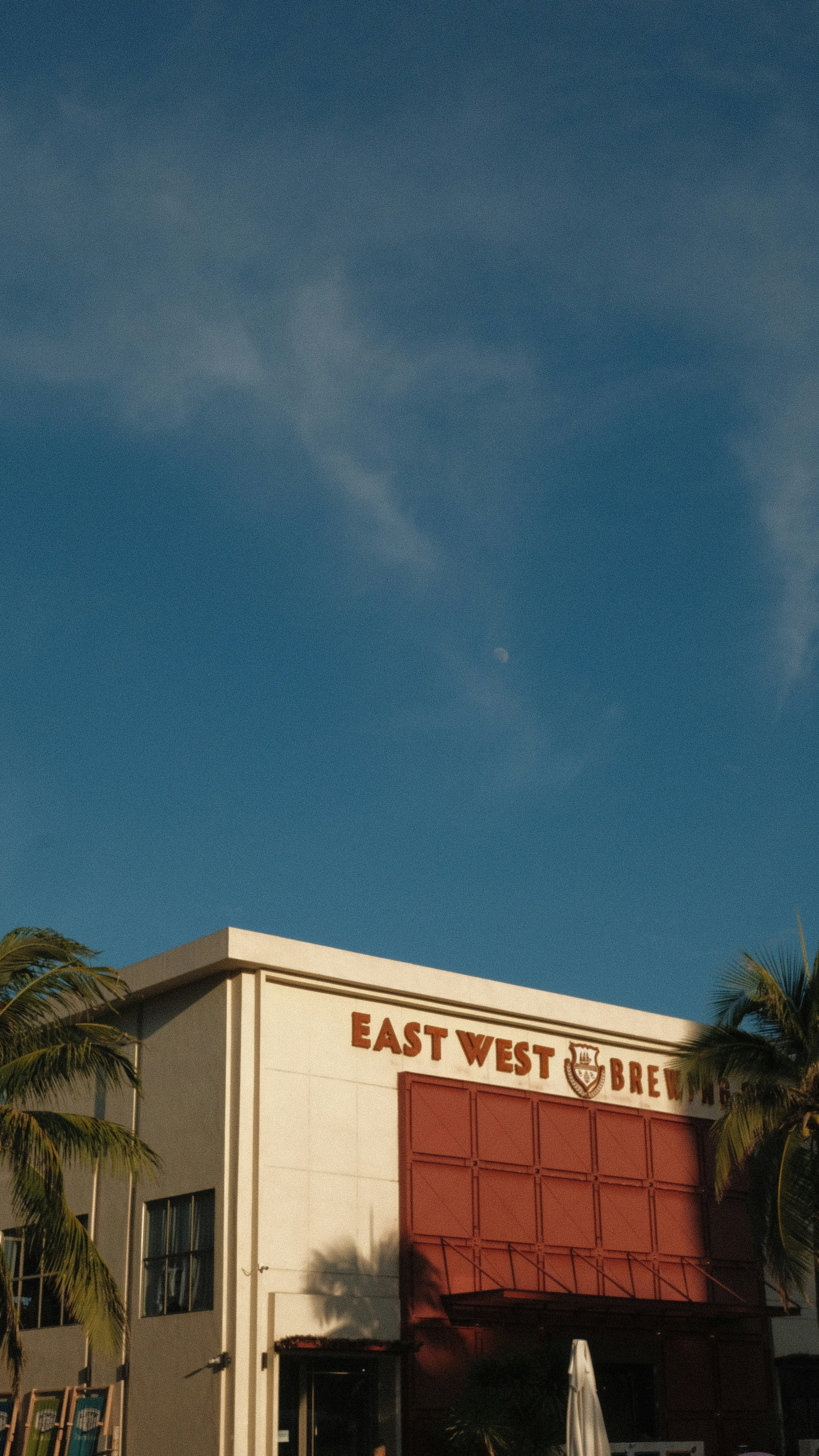 a red and white building with a palm tree in front of it