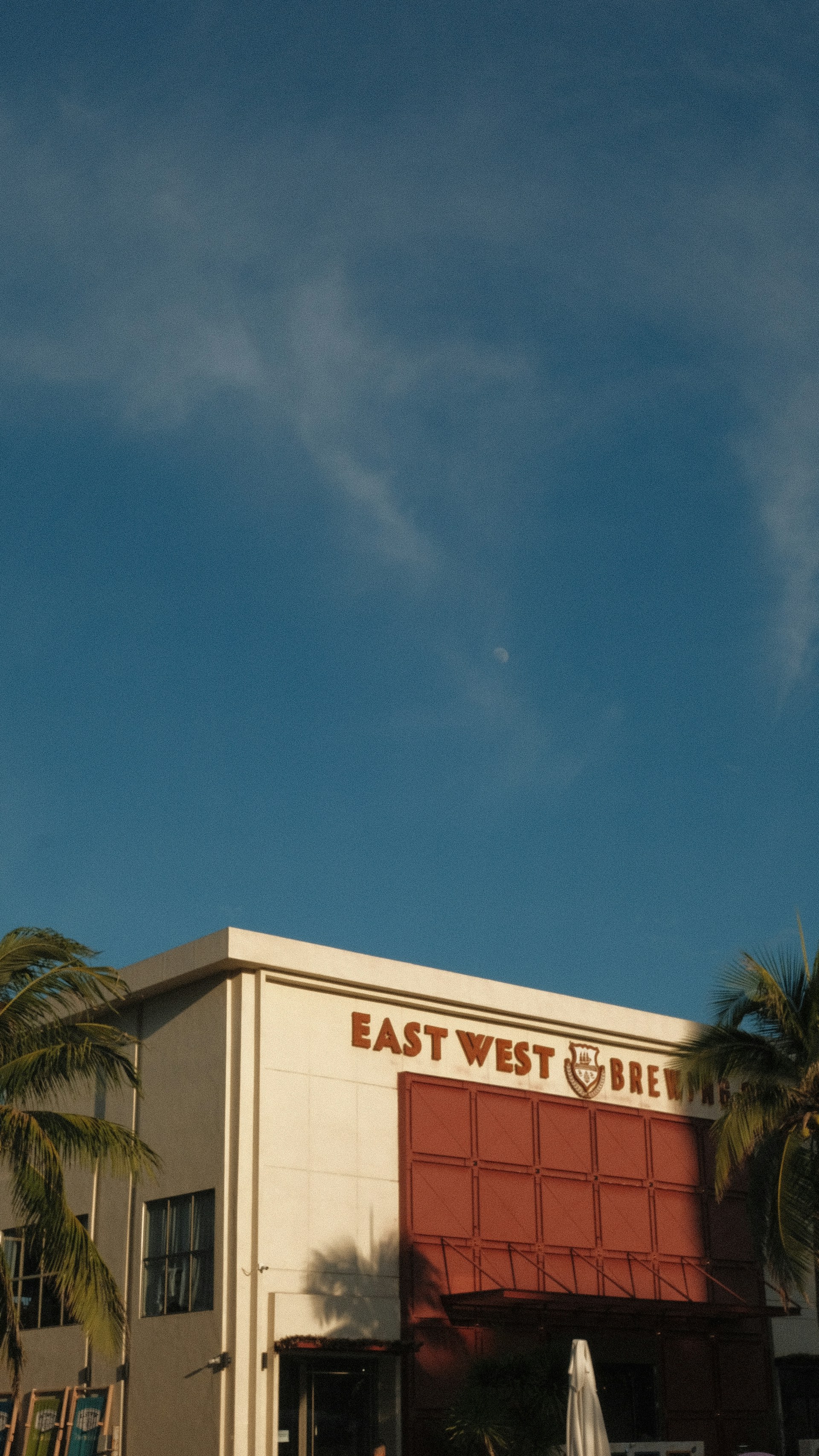 woman wearing yellow long-sleeved dress under white clouds and blue sky during daytime