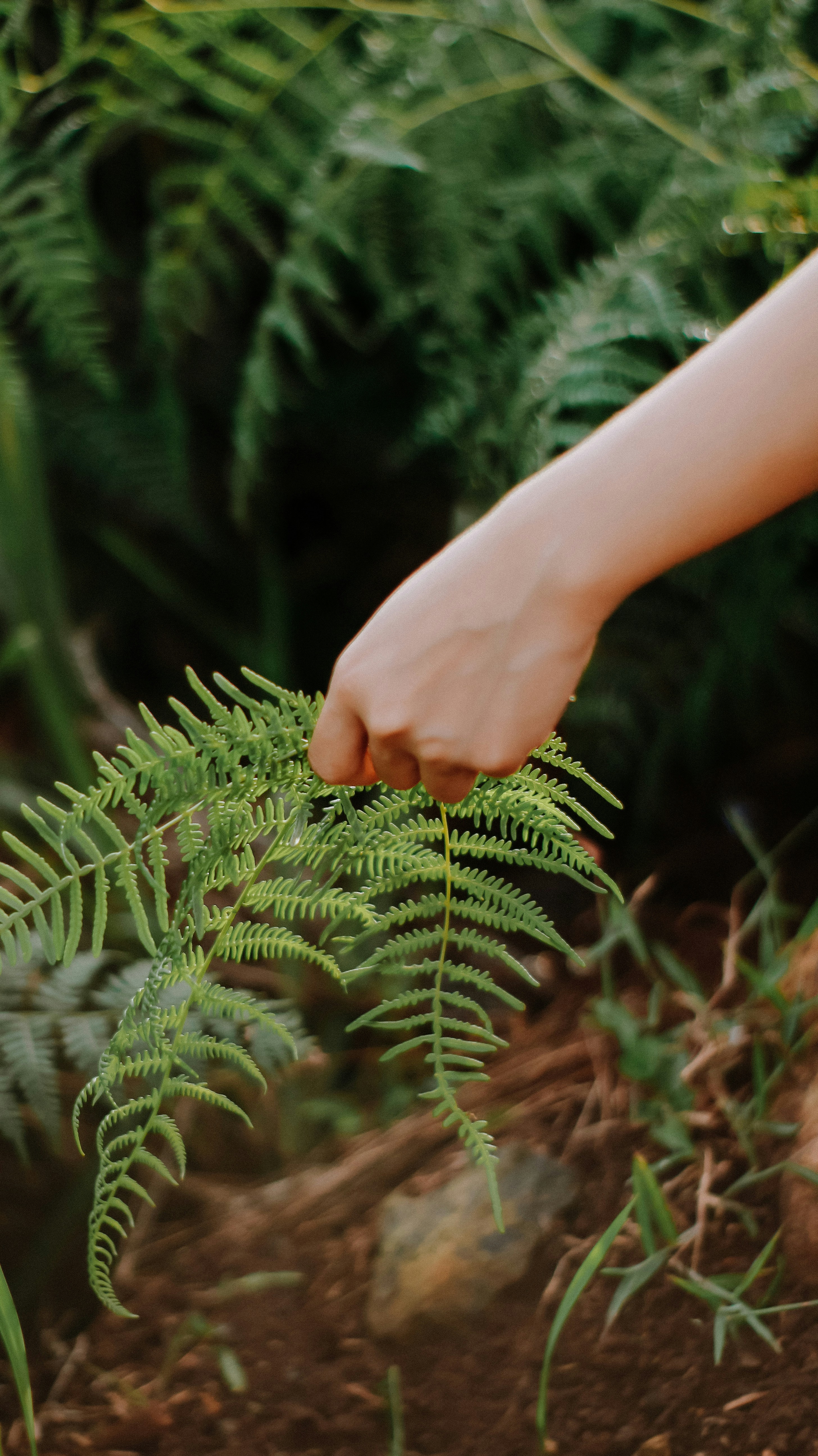 Rediscovering What Truly Matters: Purpose, Connection, and Nature