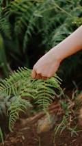 Close-up of hands gently holding a small green leaf, representing care and connection to nature.