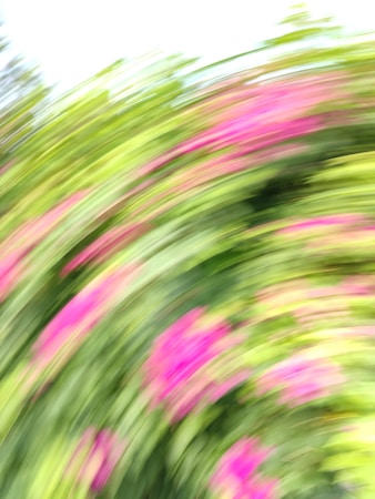 A motion-blurred image primarily featuring shades of green and pink. The swirl effect creates an abstract and dynamic appearance, giving a sense of movement.