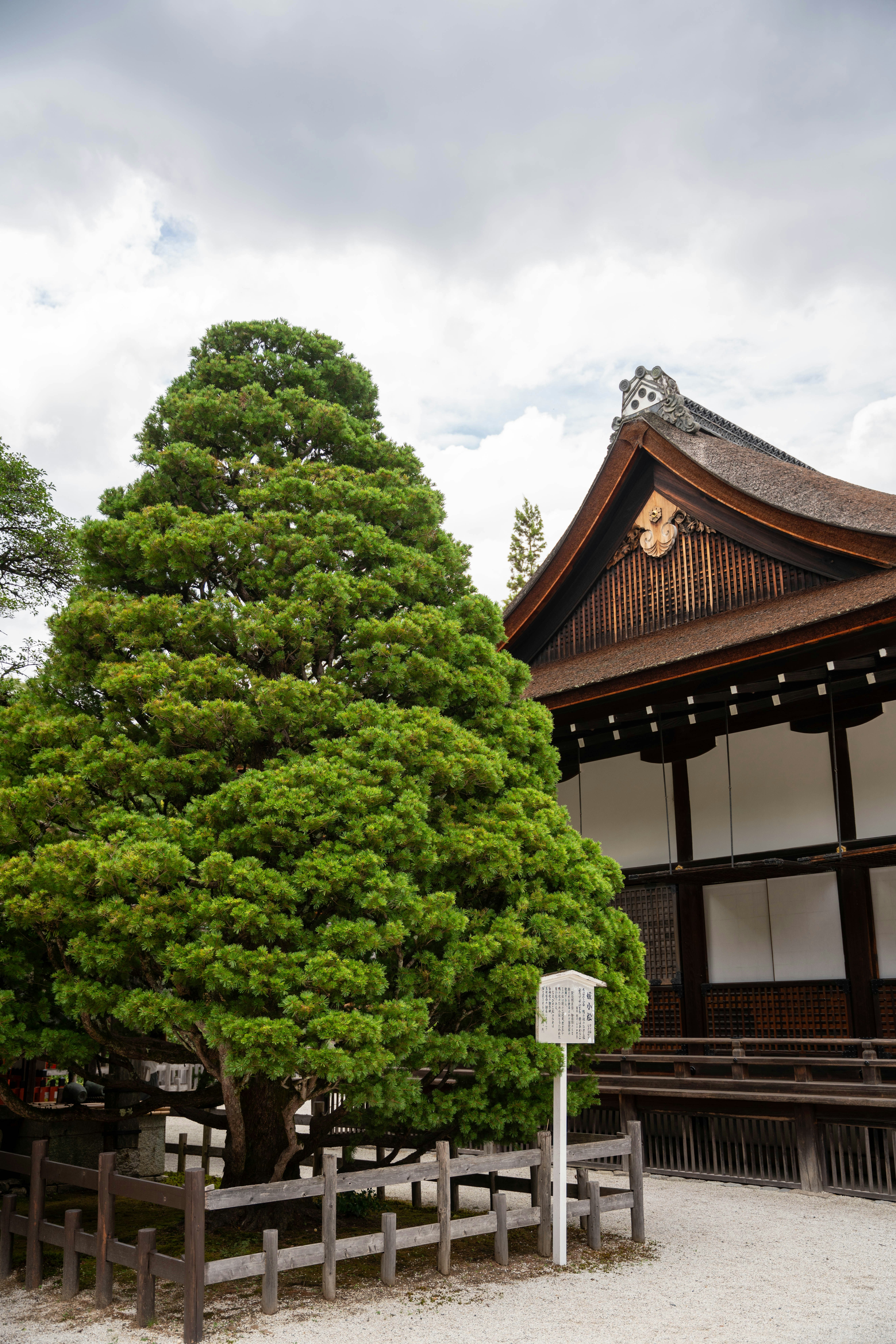 Photo by davidemrich