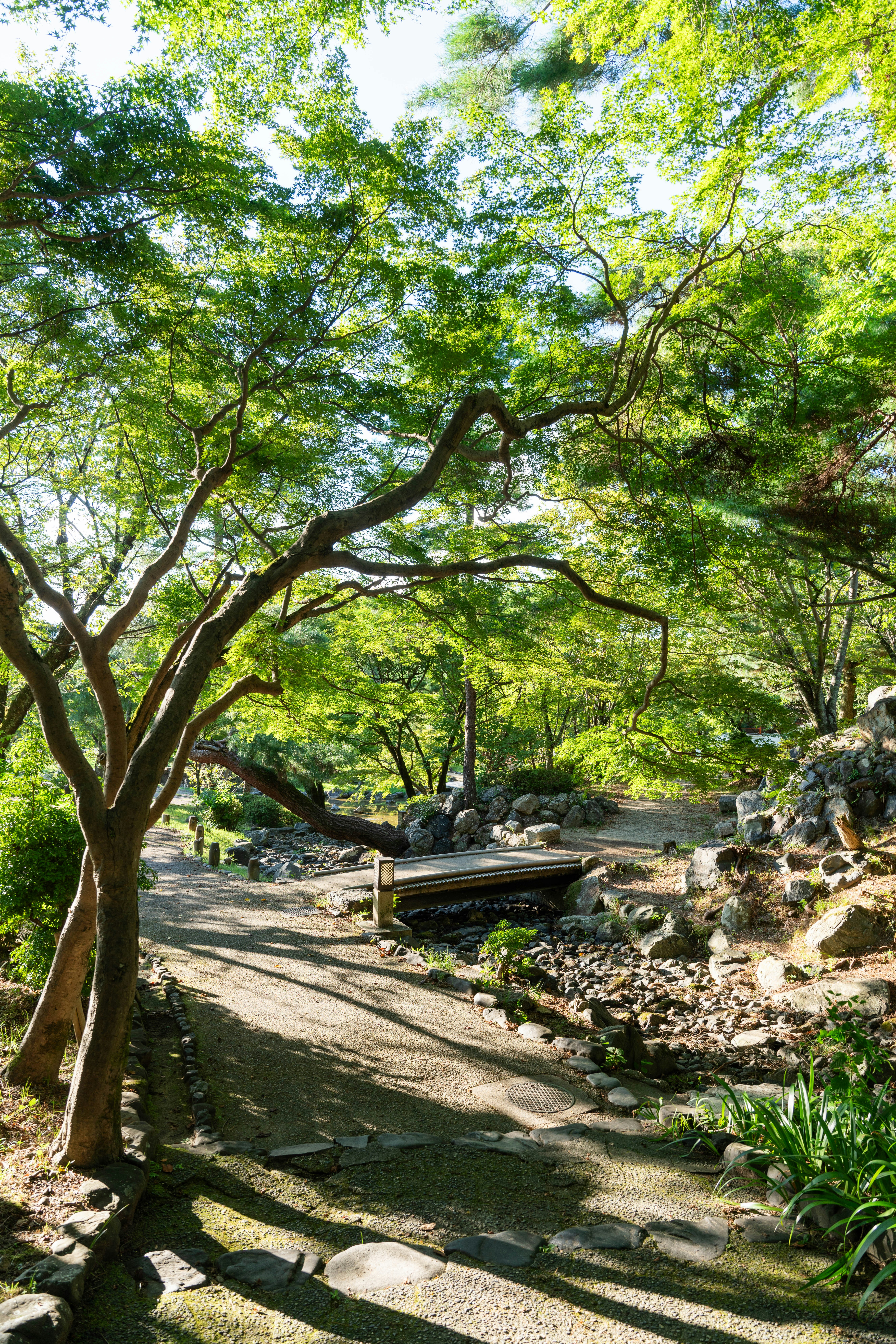 Photo by davidemrich