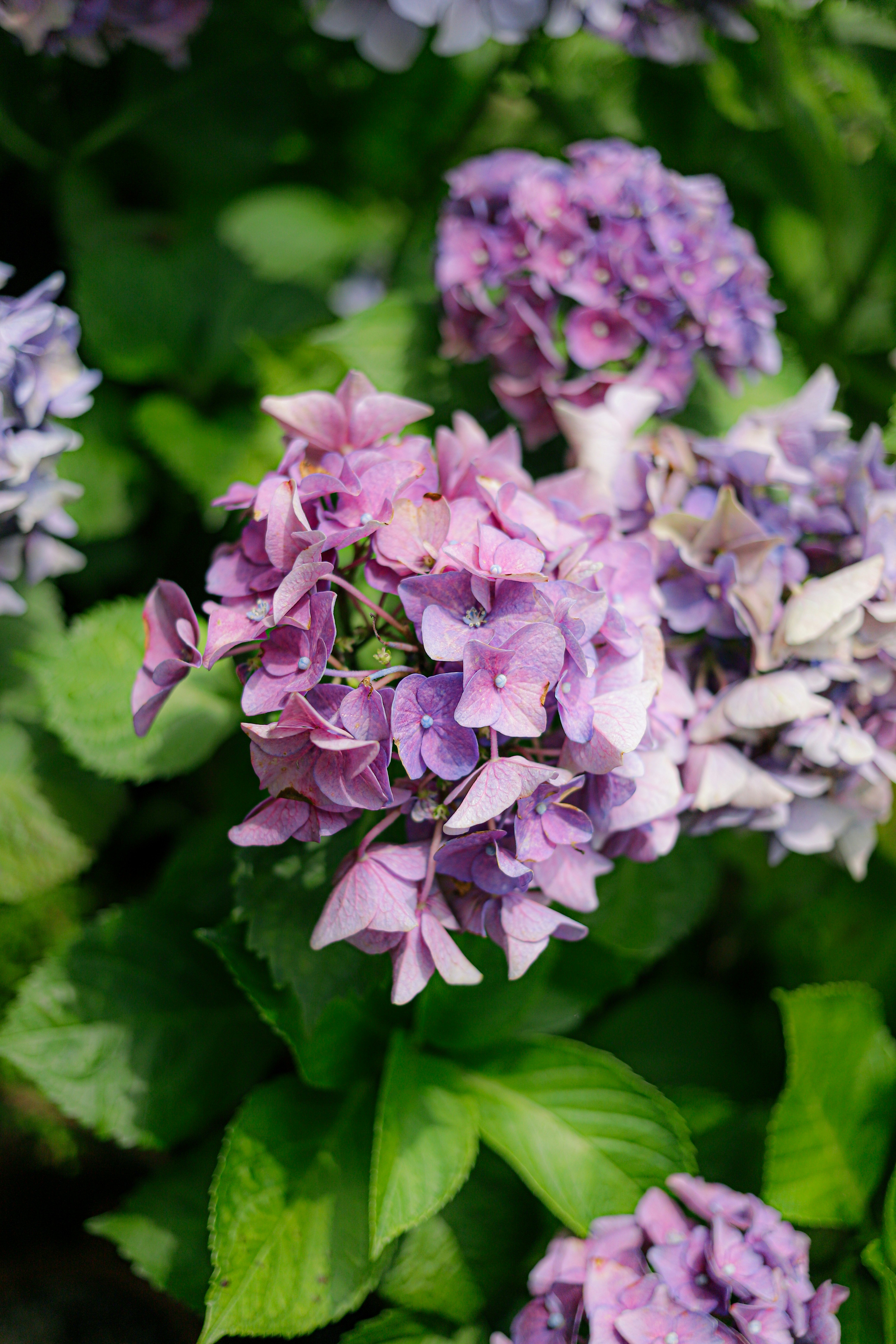 Photo by andysong1023