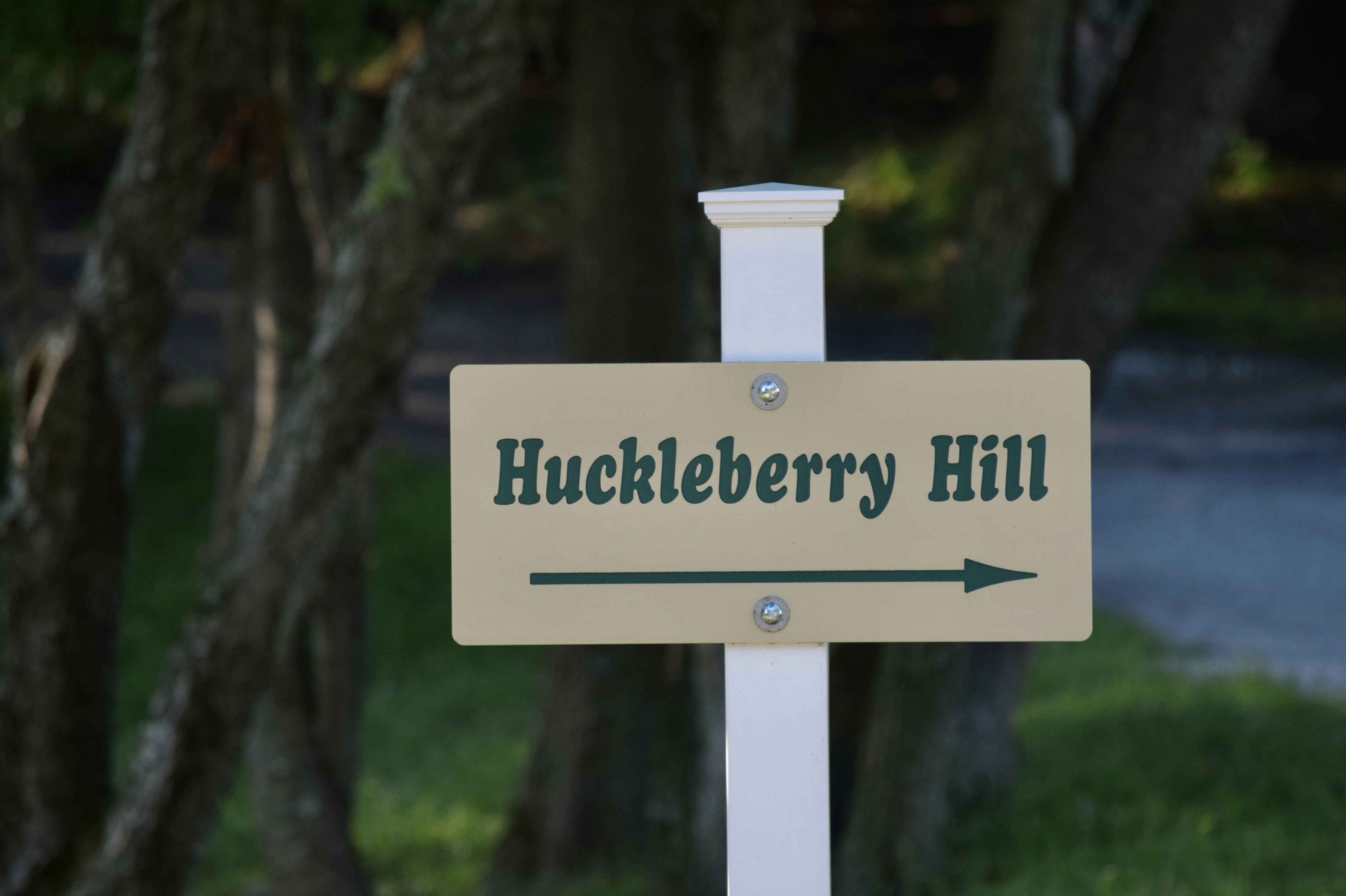 Pretty signboards at Carousel Park in Delaware.