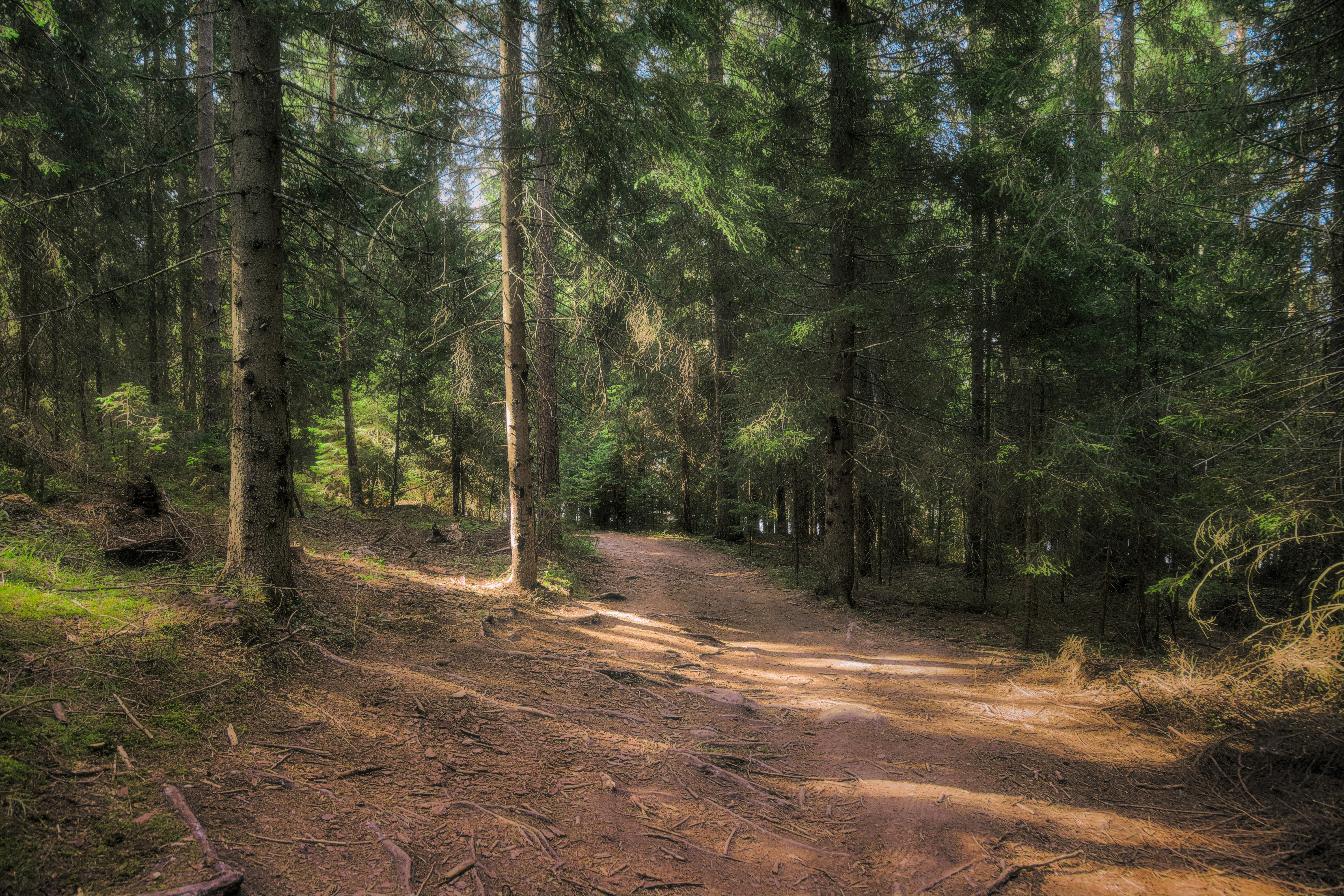 Photo by blooddrainer