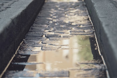 Cobblestone driveway glistening after a fresh rain in a Cape Cod home.