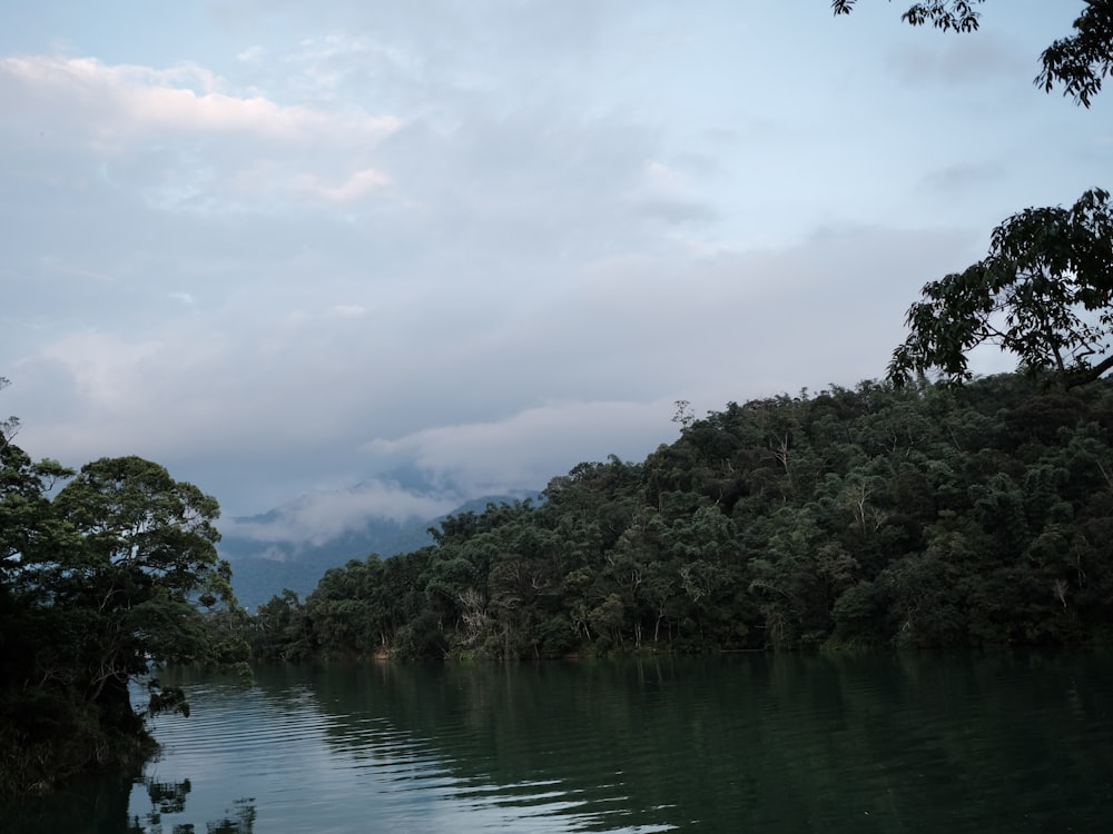 a body of water surrounded by trees under a cloudy sky