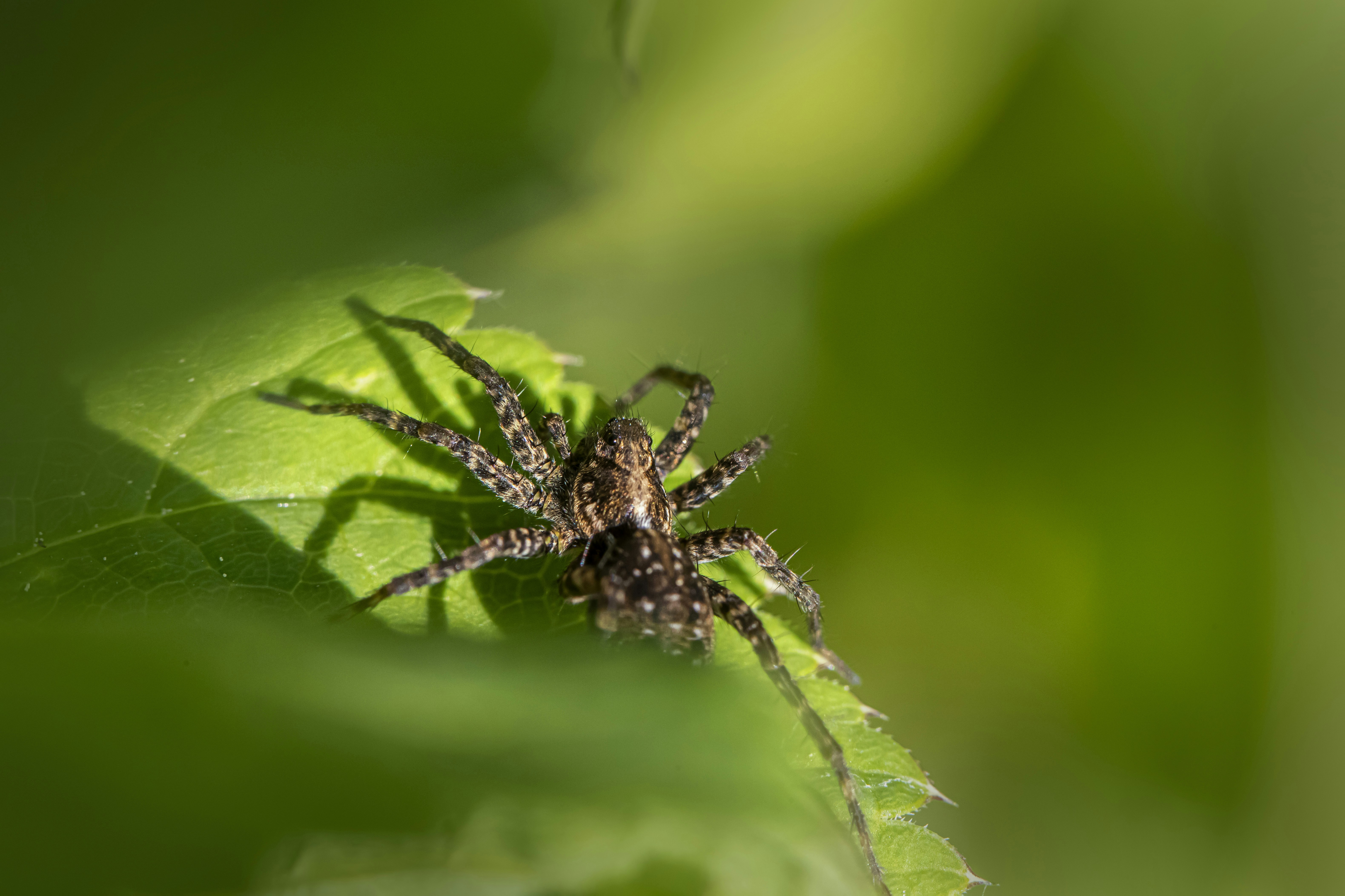 Photo by erik_karits