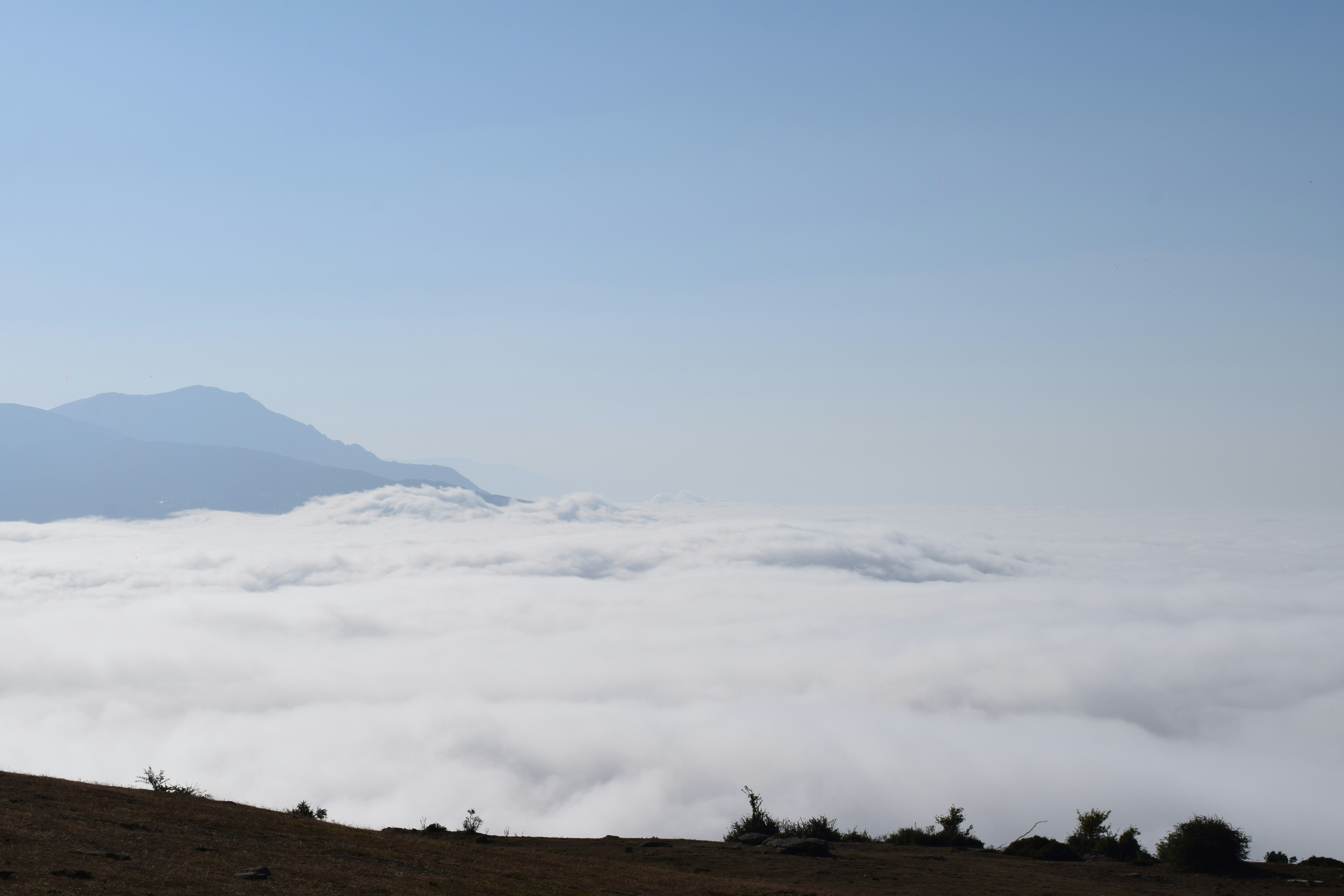 Photo by saleh_aka_jim