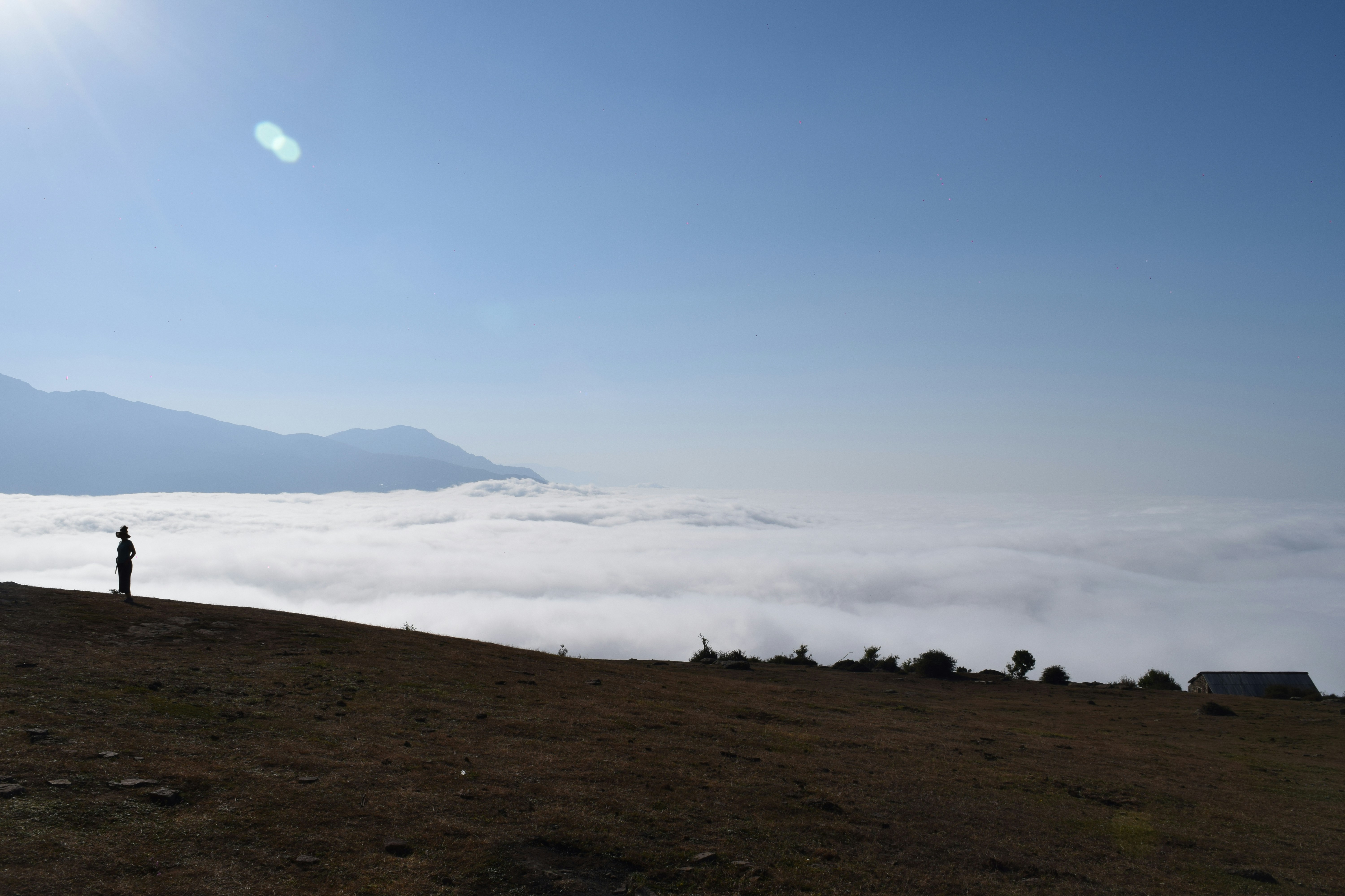 Photo by saleh_aka_jim