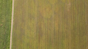 An aerial view of a pesticide supply track on a farm.