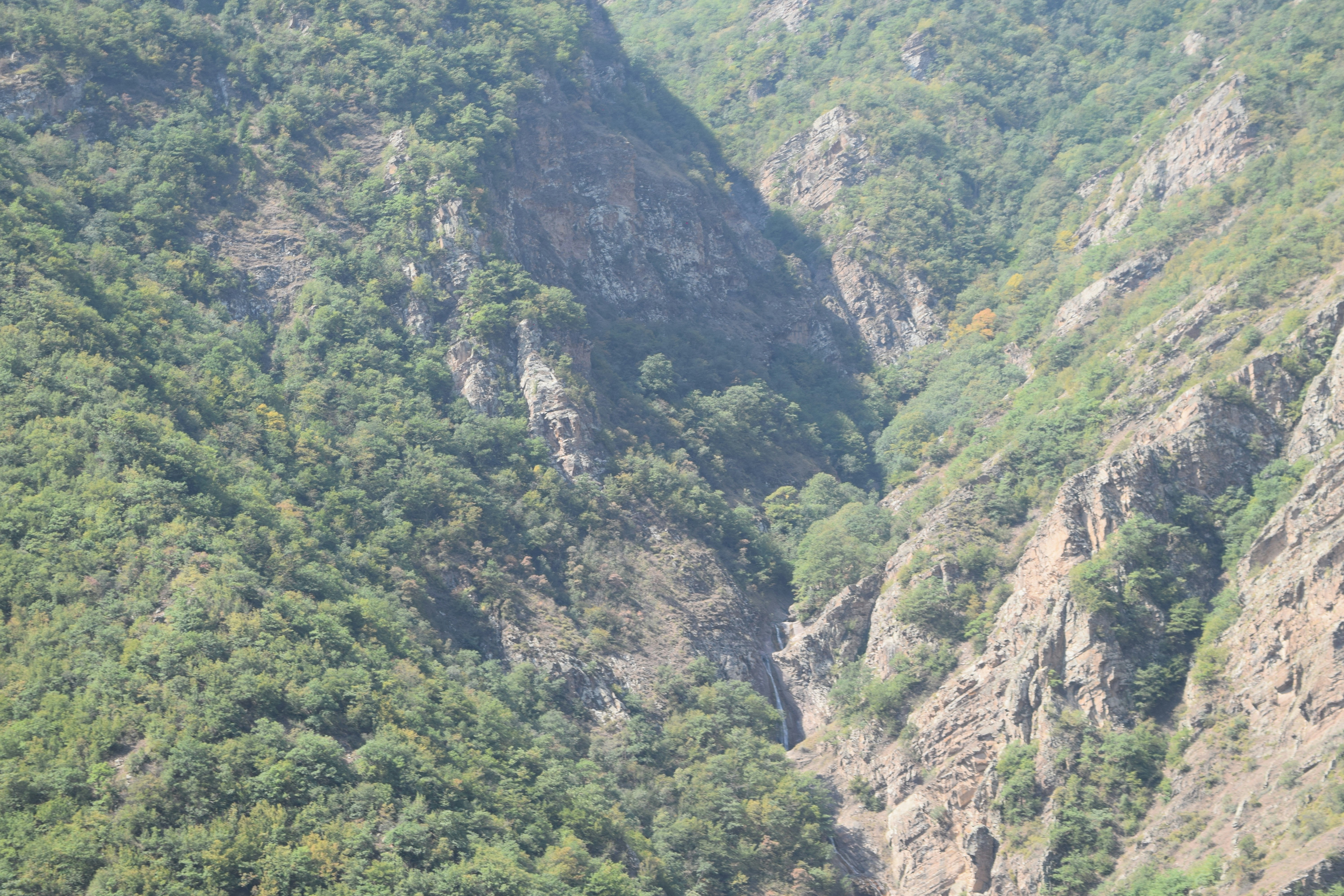 Photo by saleh_aka_jim