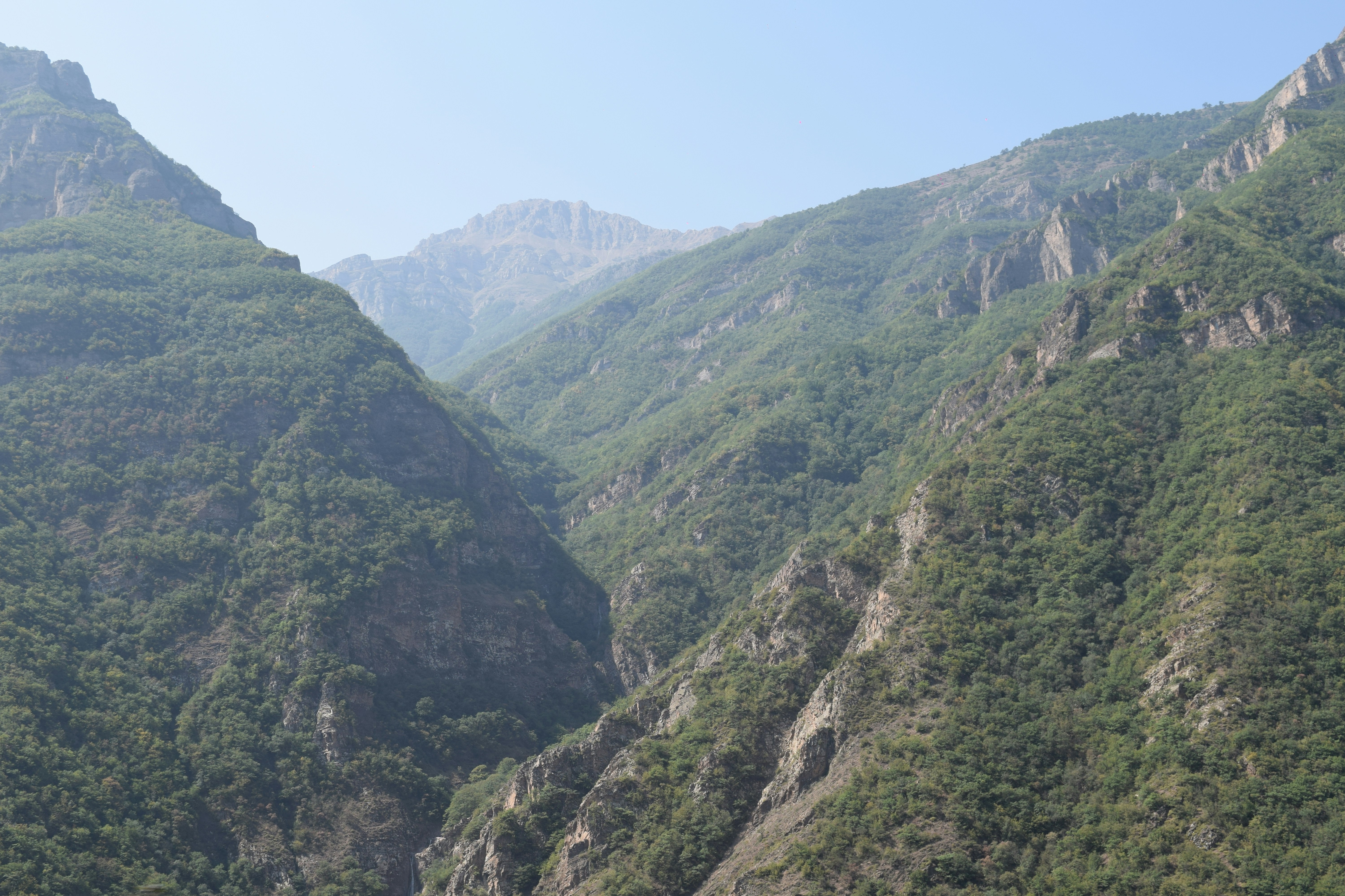 Photo by saleh_aka_jim