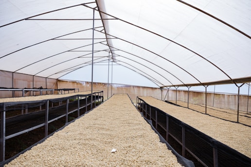 A modern rice milling facility showcasing advanced technology.