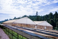Large greenhouses with beige covers are situated in front of a dense forest under a partly cloudy sky. In the foreground, there are long, horizontal, raised beds or drying racks covered with dark mesh material.