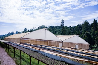 Large greenhouses with beige covers are situated in front of a dense forest under a partly cloudy sky. In the foreground, there are long, horizontal, raised beds or drying racks covered with dark mesh material.