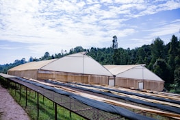 Large greenhouses with beige covers are situated in front of a dense forest under a partly cloudy sky. In the foreground, there are long, horizontal, raised beds or drying racks covered with dark mesh material.