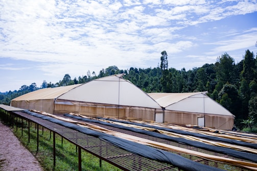 Large greenhouses with beige covers are situated in front of a dense forest under a partly cloudy sky. In the foreground, there are long, horizontal, raised beds or drying racks covered with dark mesh material.