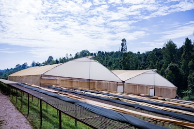 Large greenhouses with beige covers are situated in front of a dense forest under a partly cloudy sky. In the foreground, there are long, horizontal, raised beds or drying racks covered with dark mesh material.