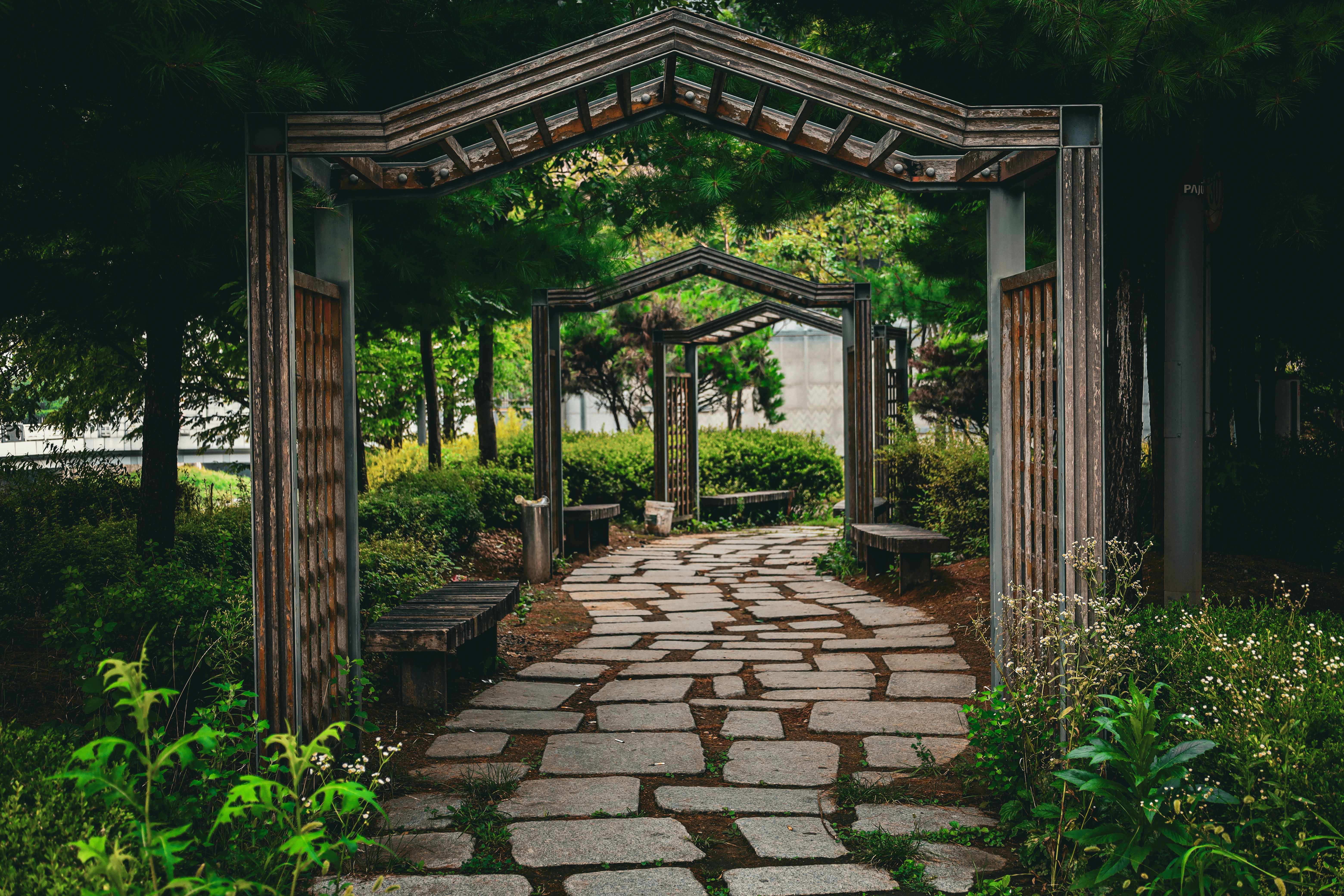 Photo by yuliki_mikhail