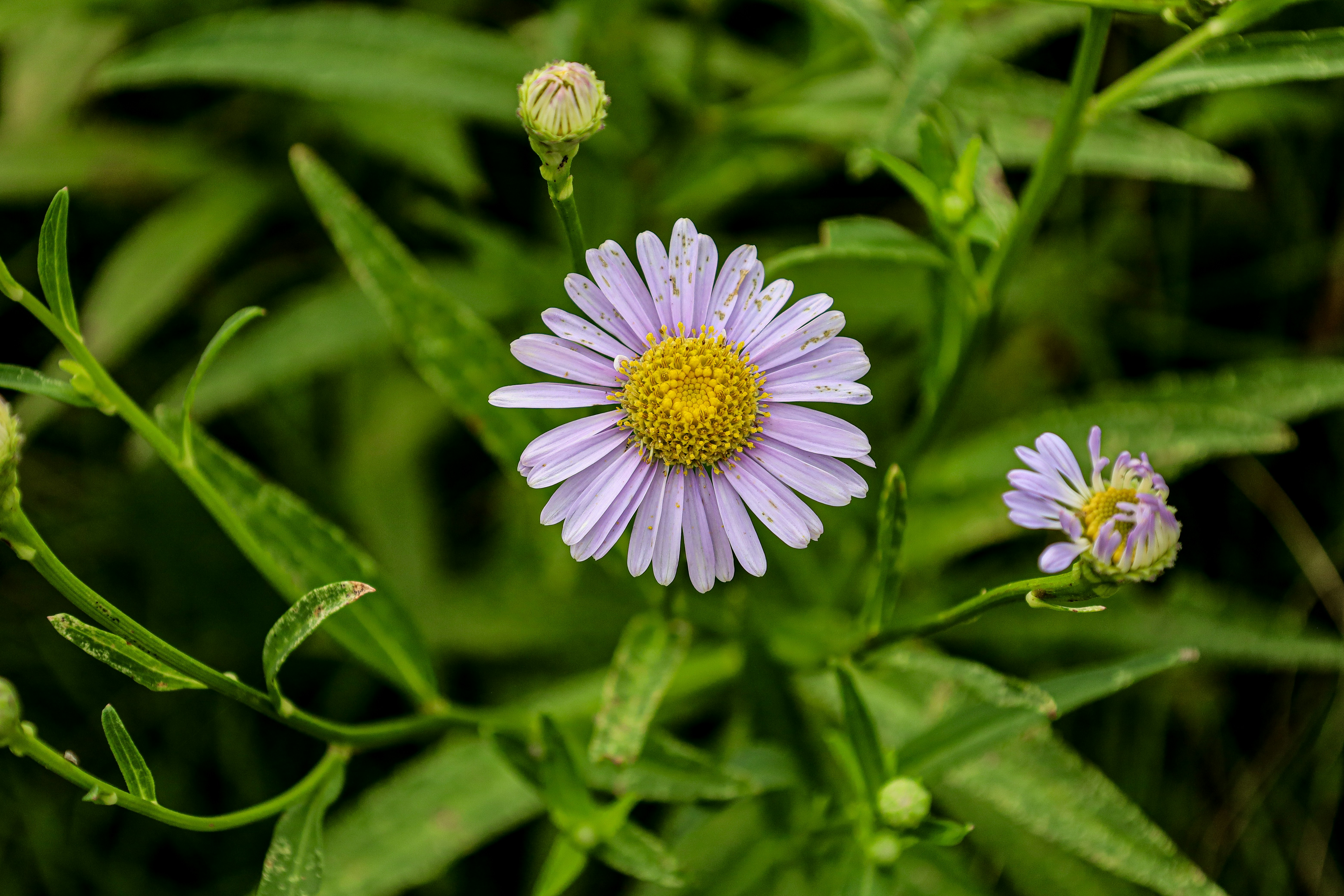 Photo by yuliki_mikhail