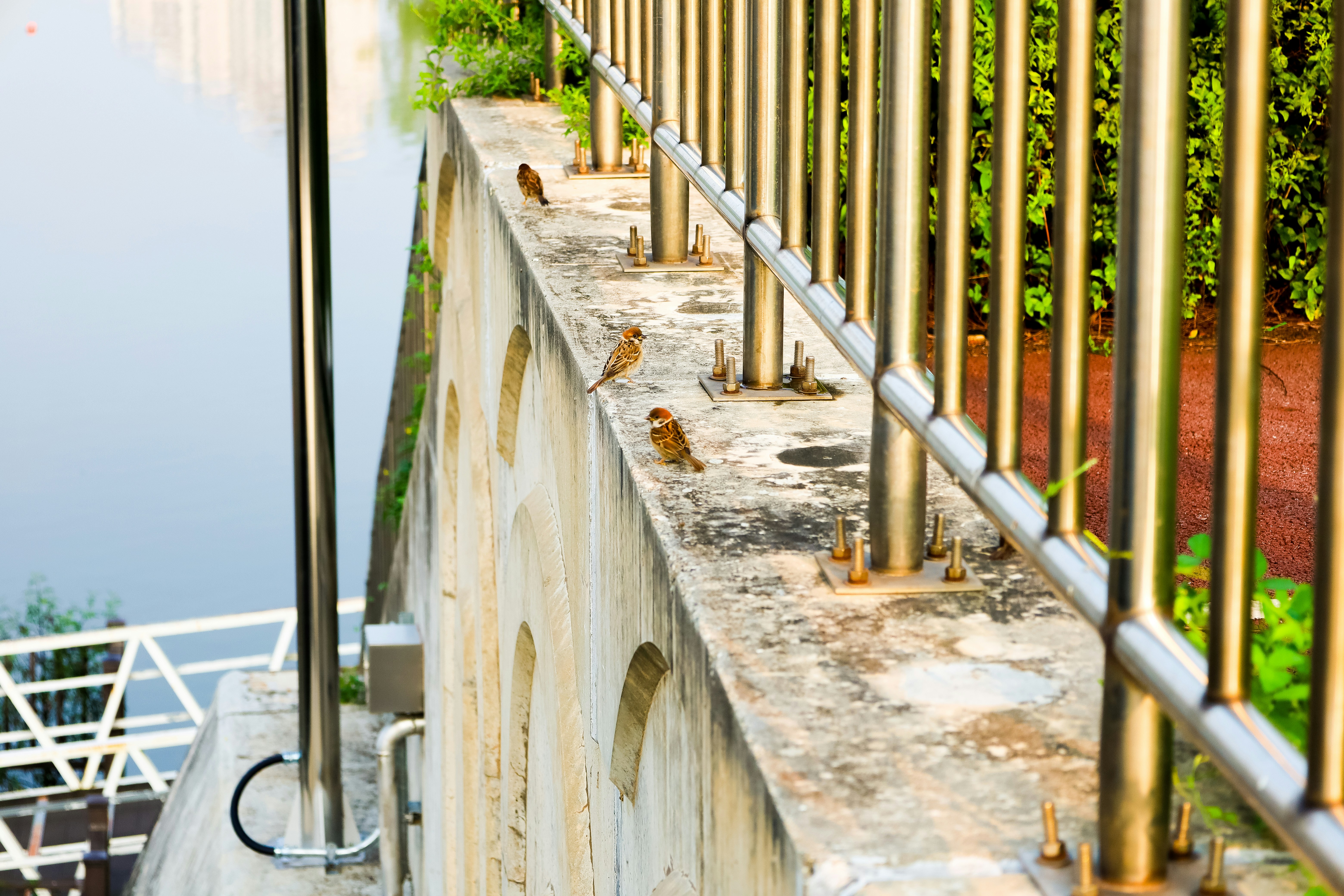 Photo by yuliki_mikhail