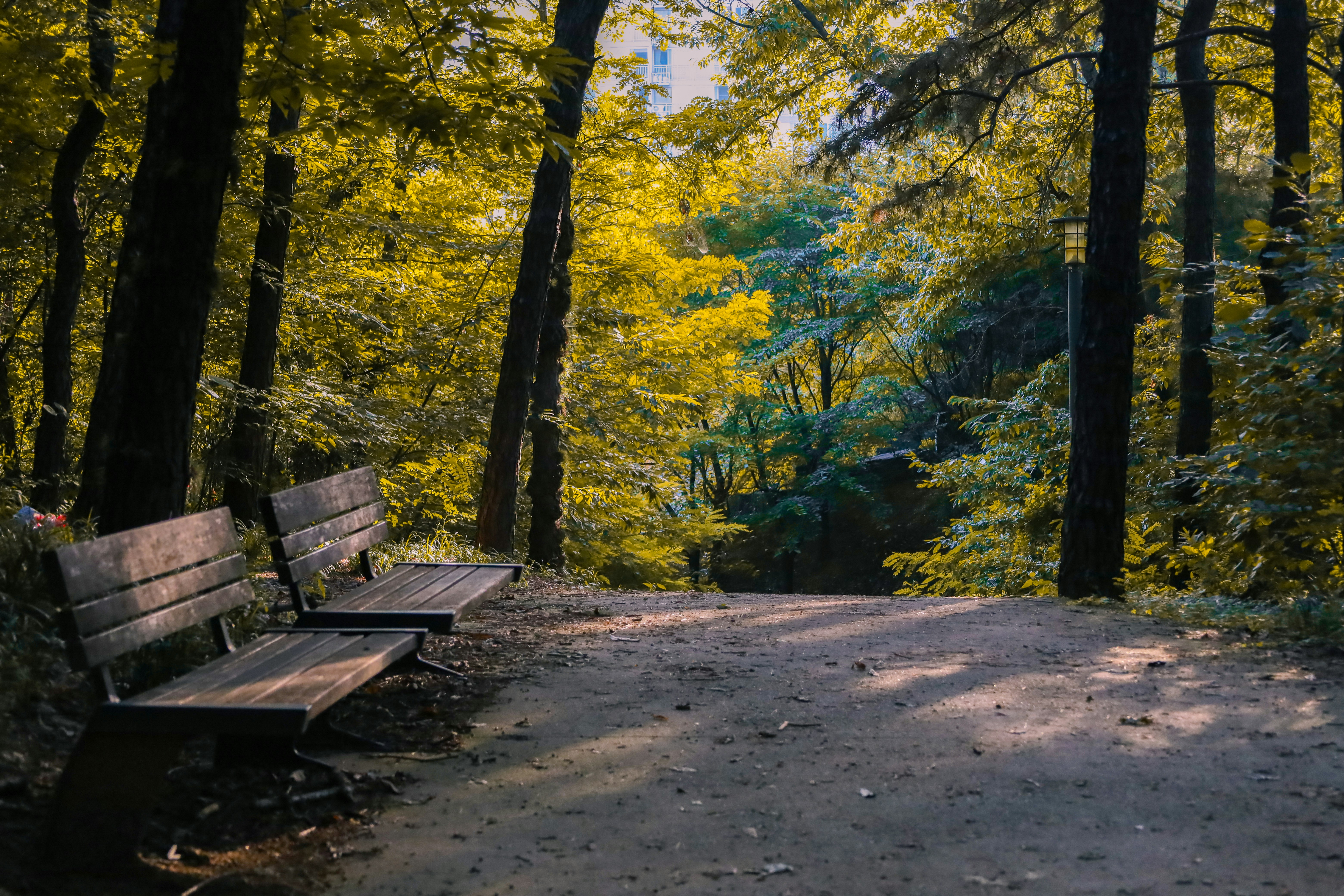 Photo by yuliki_mikhail