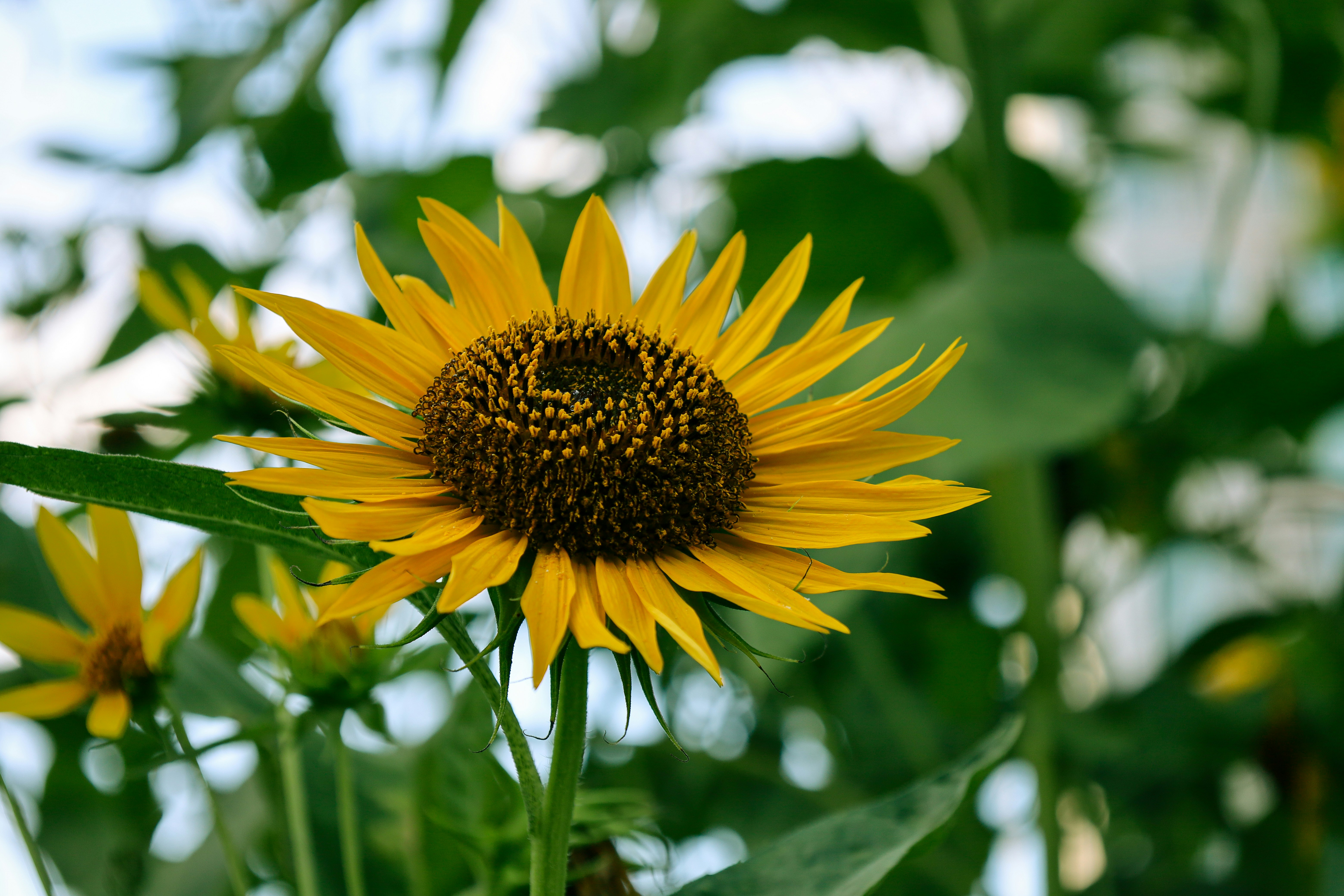 Photo by yuliki_mikhail