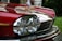 A close-up of a classic car's front, emphasizing the red hood with a shiny chrome grille and dual round headlights. A gold-colored jaguar hood ornament is prominently displayed. The background is blurred, suggesting a natural outdoor setting.