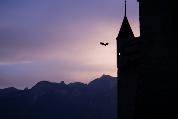 An ancient, crumbling castle silhouetted against a blood-red moon, with bats flying overhead.