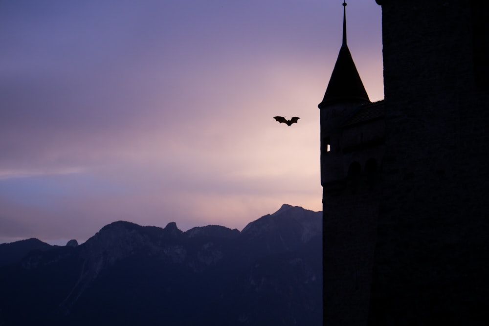 Ein Vogel, der über eine Burg mit Bergen im Hintergrund fliegt