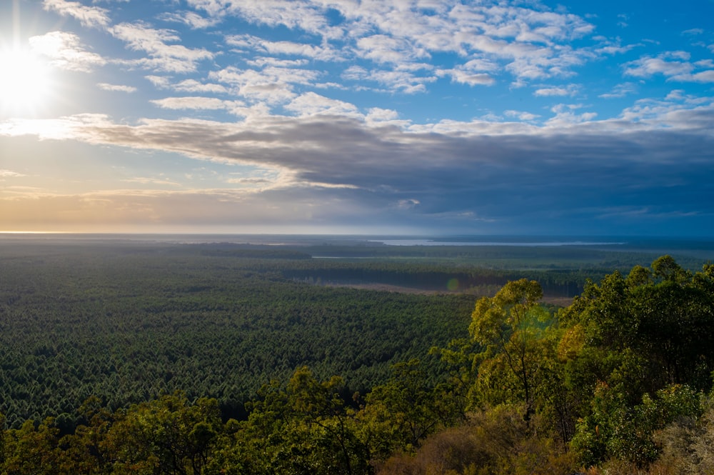 the sun shines brightly over a forested area