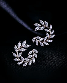 a pair of earrings on a black background