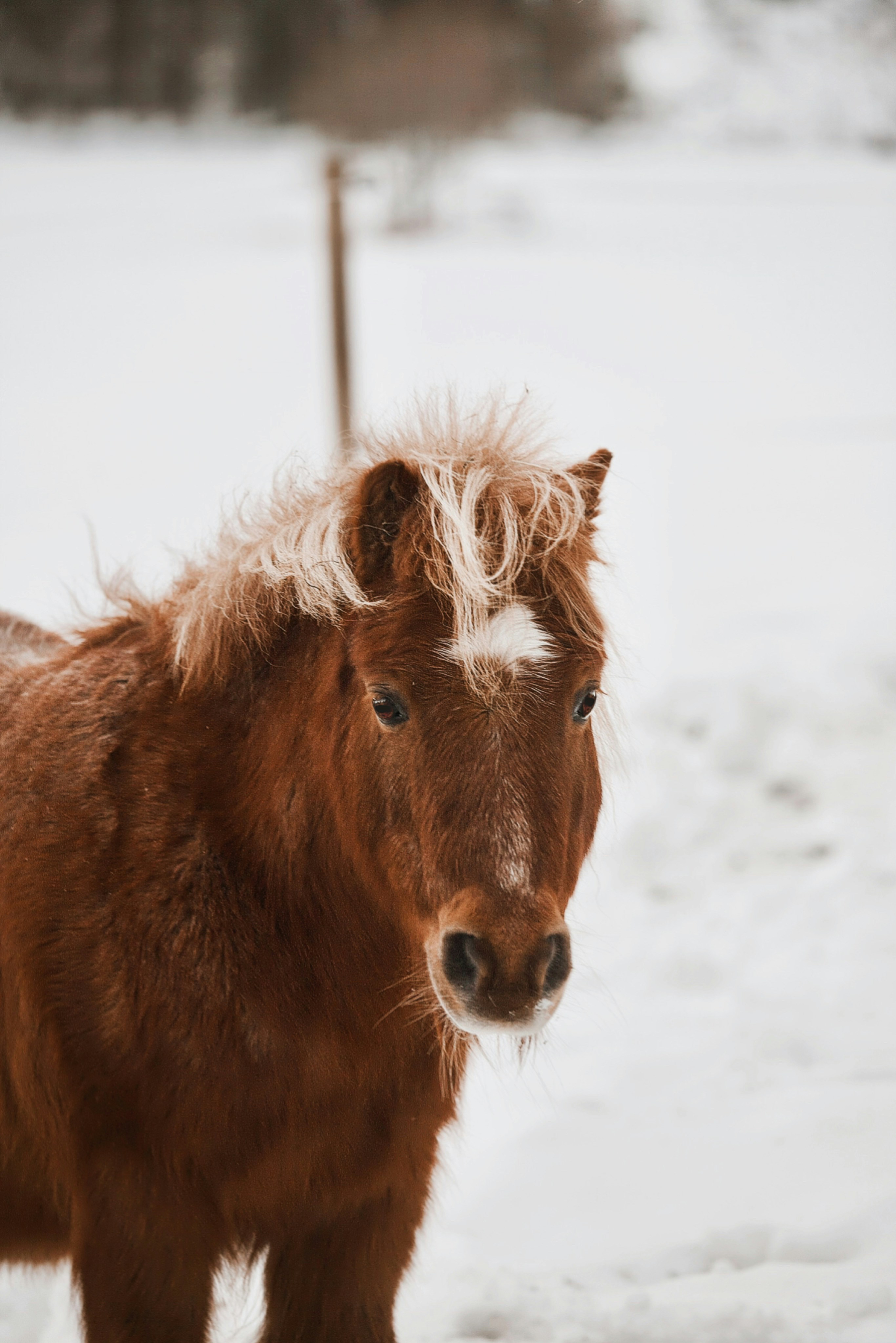 Photo by kristinokarlsen