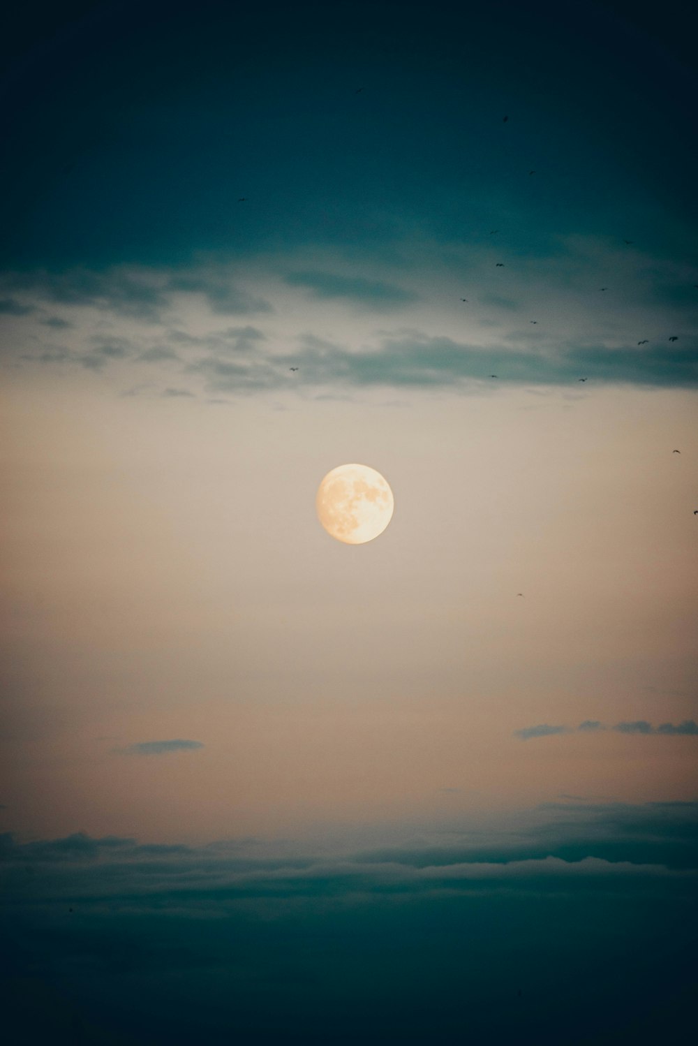 a full moon is seen in the sky