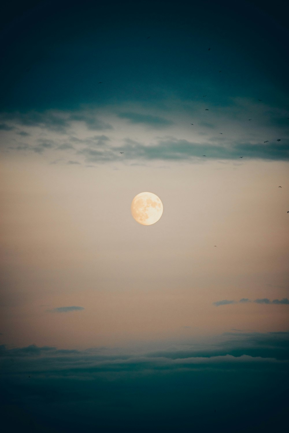 Una luna llena se ve en el cielo