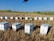 A series of beehives neatly arranged in a harvested field, set against a backdrop of distant trees and expansive blue skies. The hives are white and rectangular, sitting on dry, cut grass.