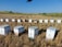A series of beehives neatly arranged in a harvested field, set against a backdrop of distant trees and expansive blue skies. The hives are white and rectangular, sitting on dry, cut grass.