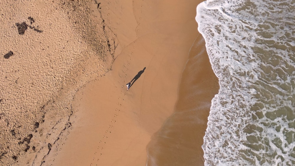 a bird's eye view of a beach and a body of water