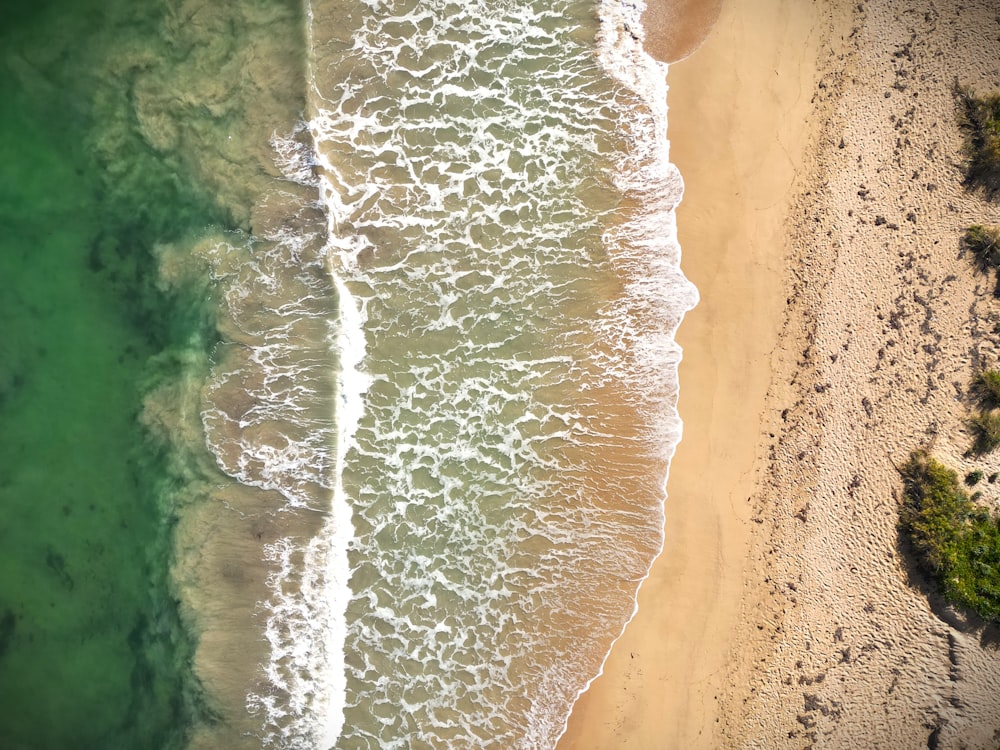 an aerial view of a beach and ocean