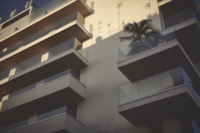 A modern apartment building featuring multiple balconies with glass railings. One balcony displays a large potted palm tree, casting intricate shadows on the wall behind. The angle of the shot highlights the architectural design, emphasizing clean lines and minimalistic elements.