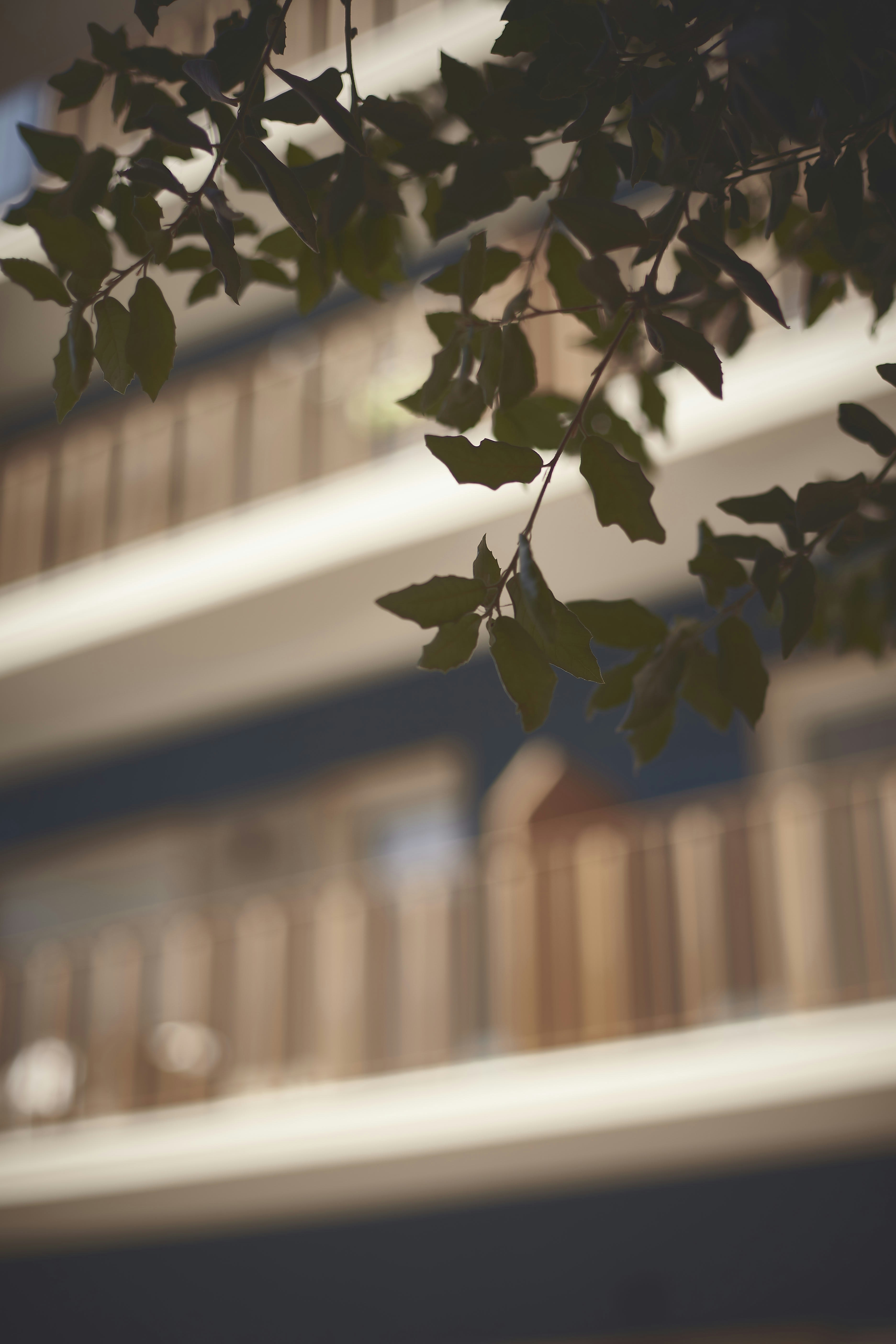 Photo by quadratmedia