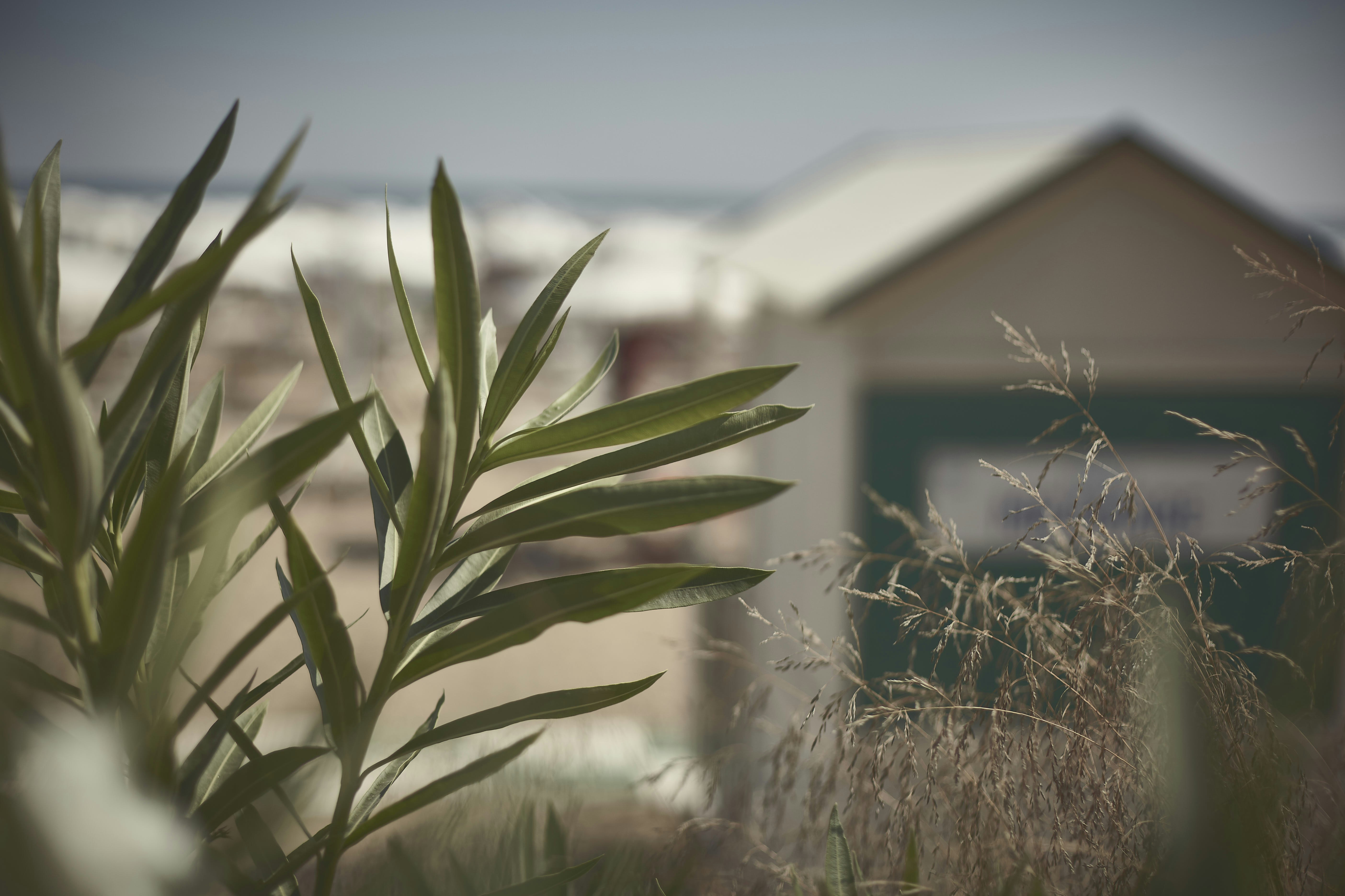 Photo by quadratmedia