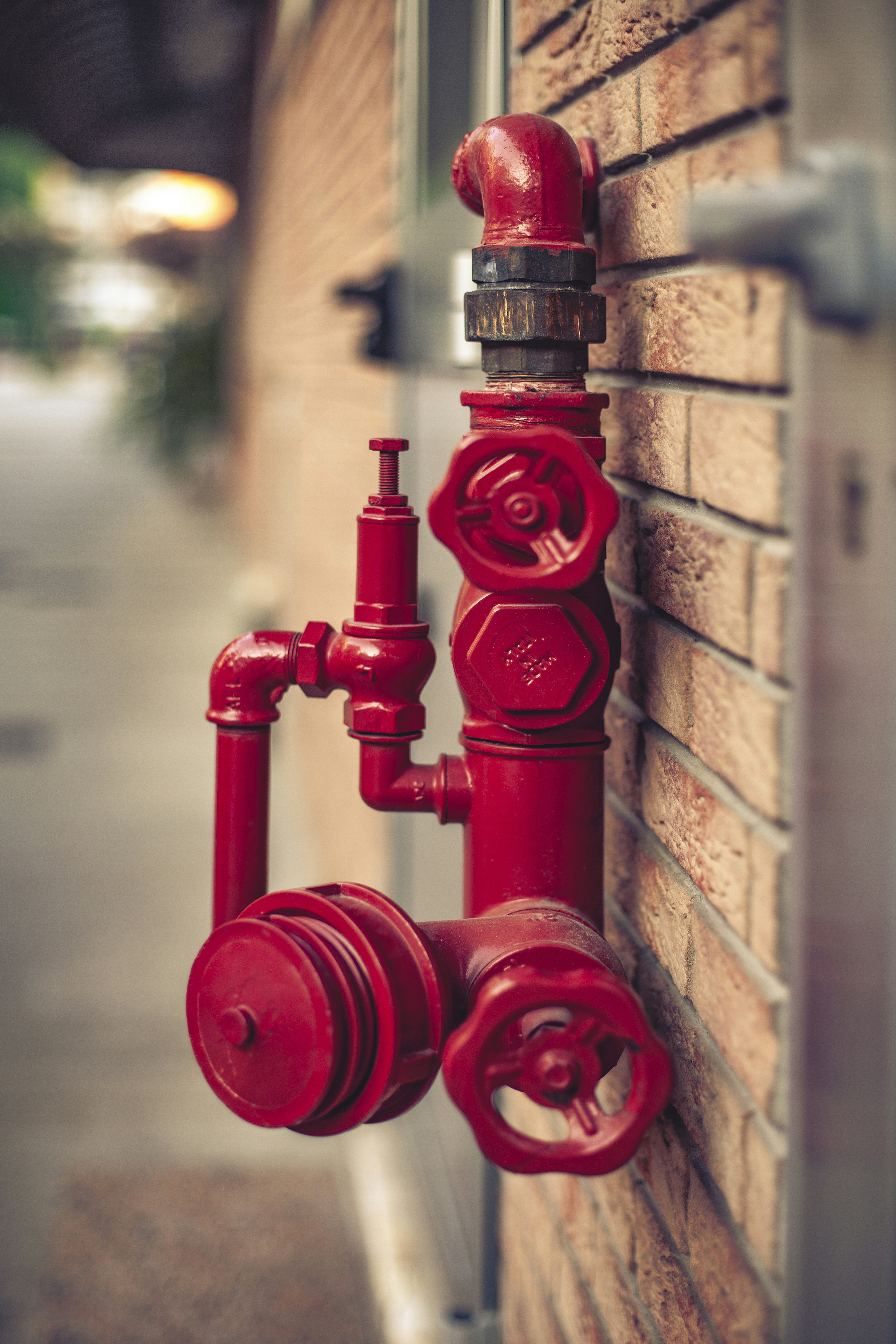 Fire Sprinkler System