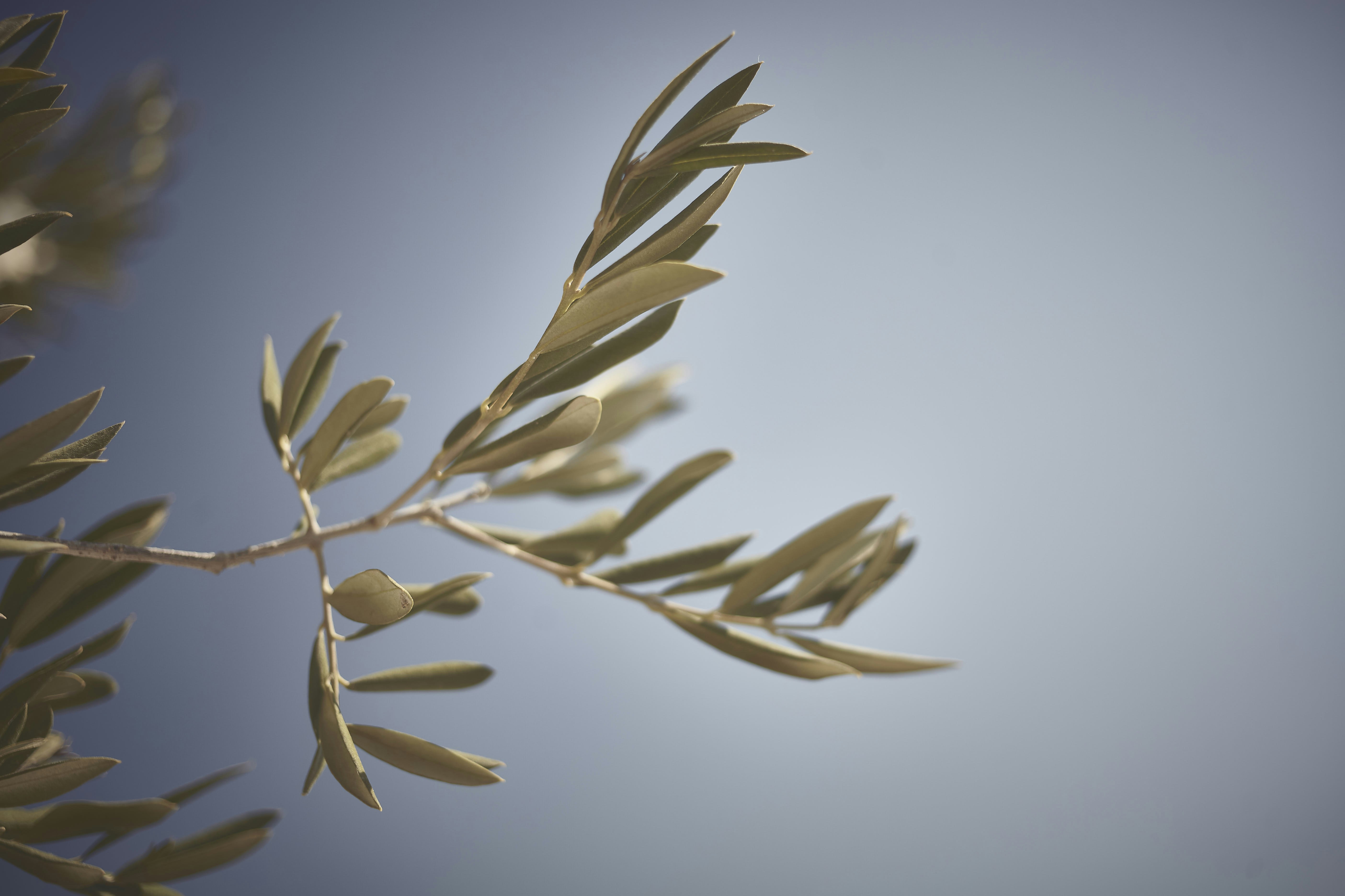 Photo by quadratmedia