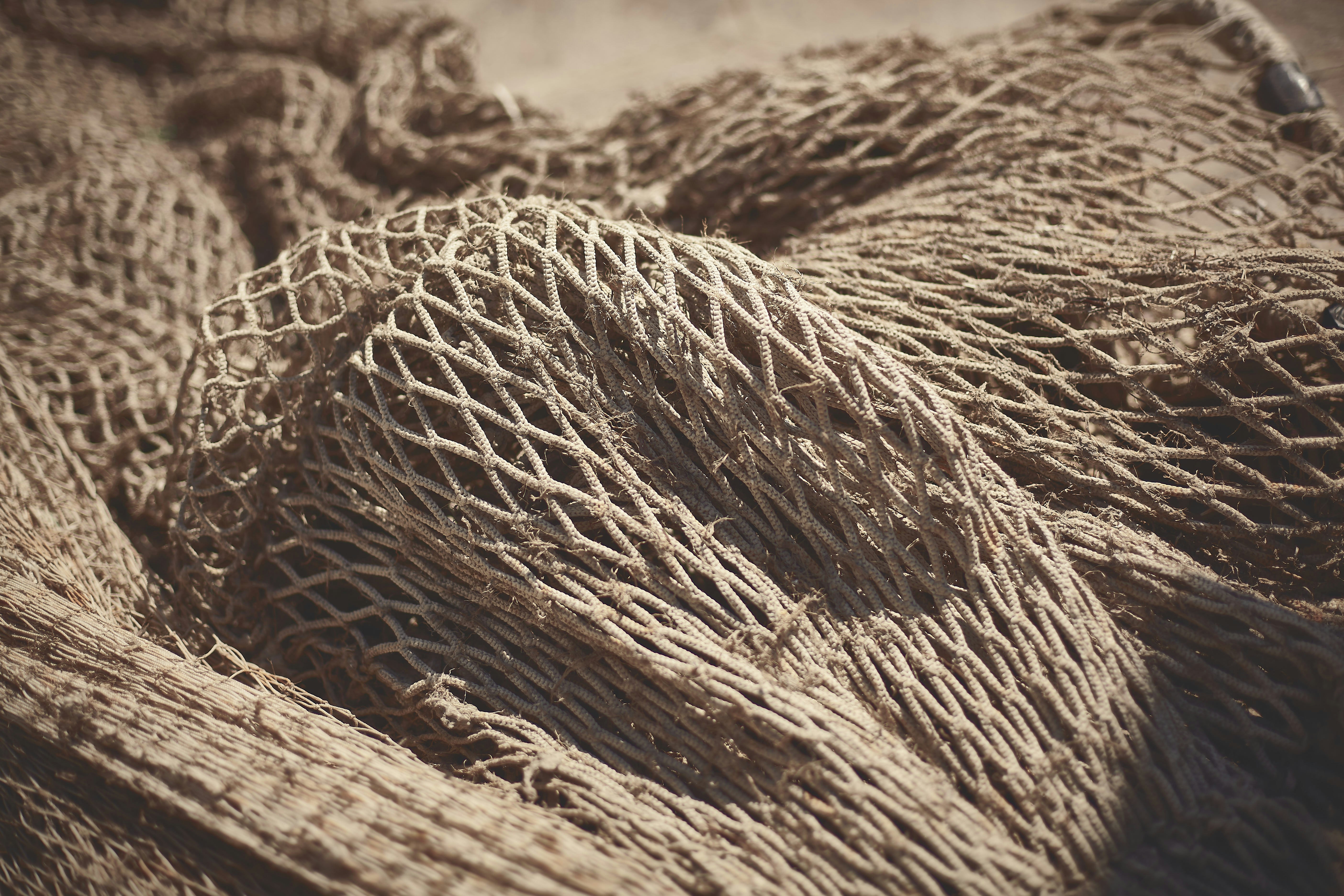 Photo by quadratmedia