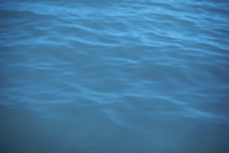 A body of water with gentle ripples creating a textured surface.
