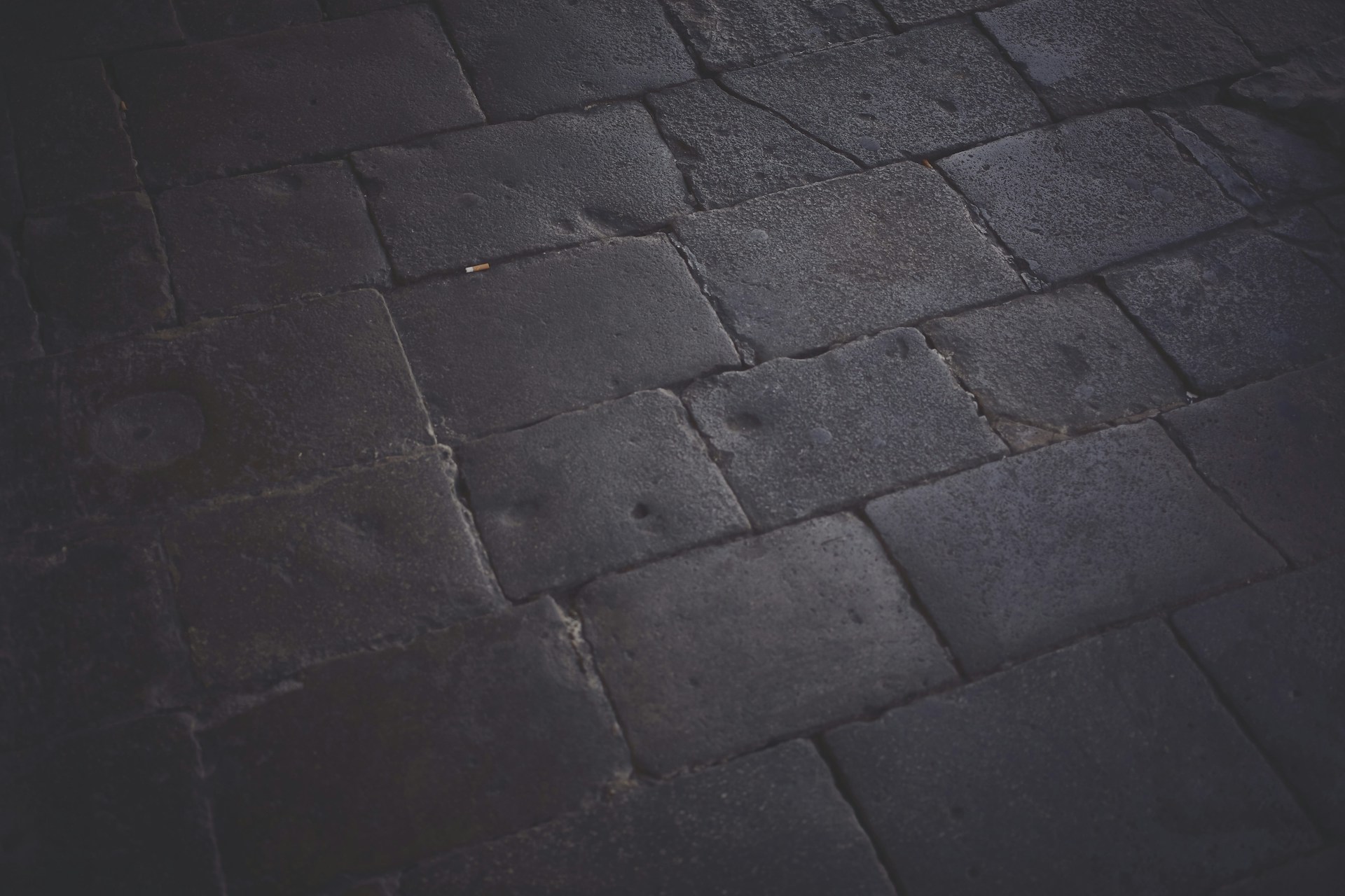 A close-up shot of textured, dark-colored paving stones arranged in a neat pattern under soft lighting.