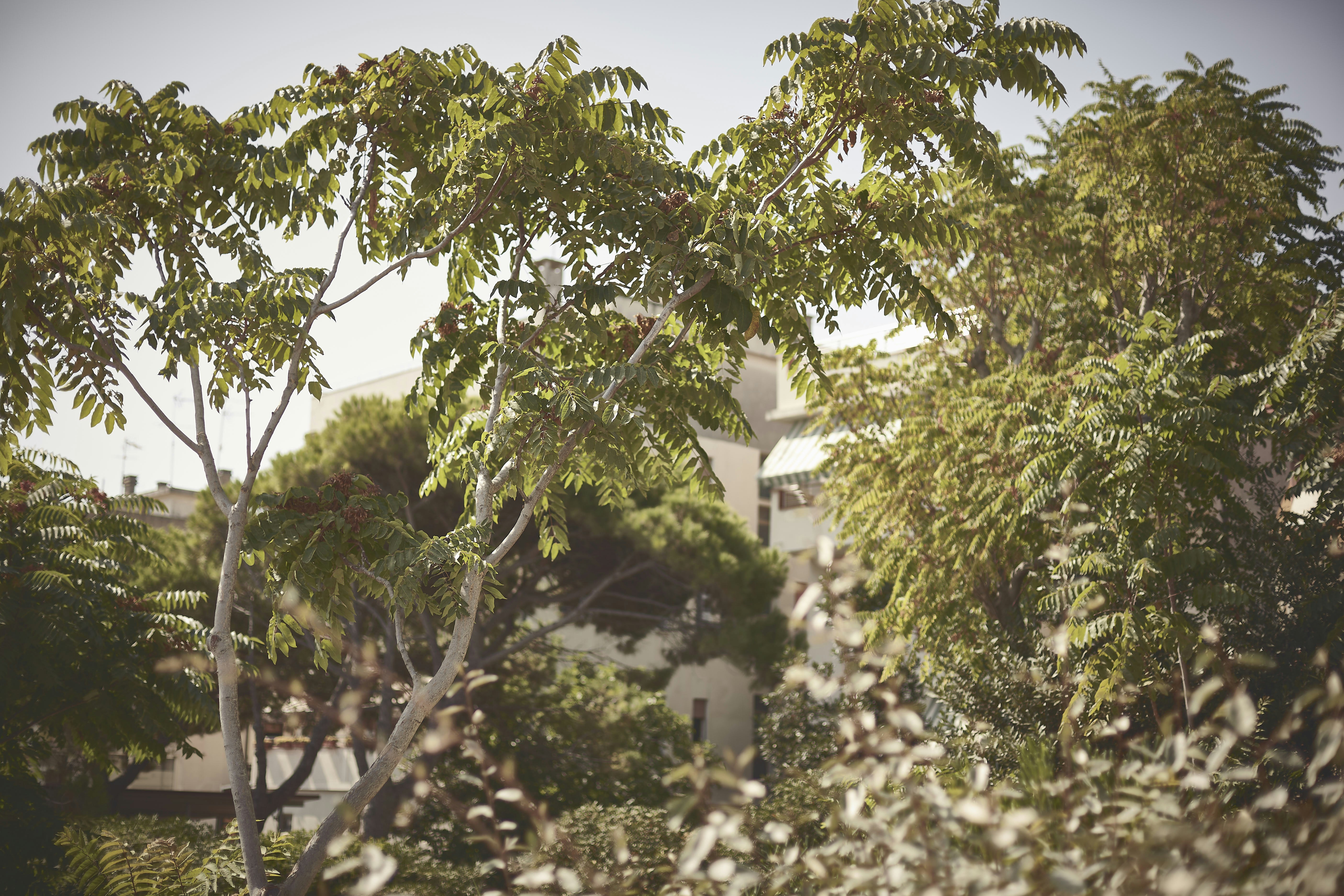 Photo by quadratmedia